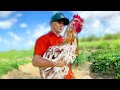 Farmer accidentally raises giant chicken