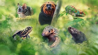 Big Little Journeys - 2023 - BBC Two Documentary Series Trailer
