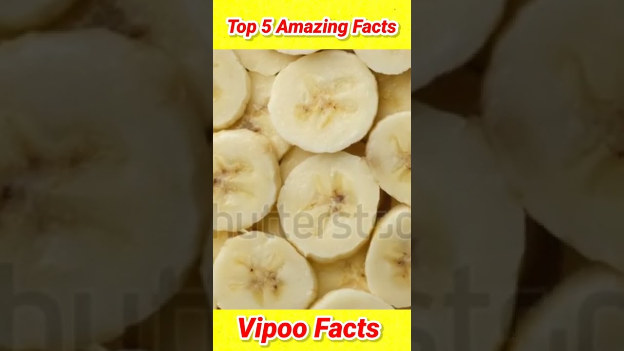 Top 5 Amazing Facts 😍 || VIPOO FACTS 