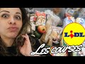 Retour de courses lidl  jai craqu le slip 