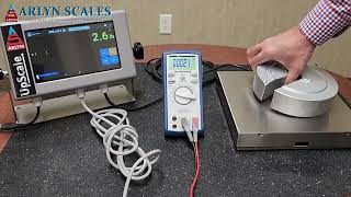 Industrial Platform Scales for Precision in Tough Conditions