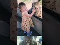 Baby Girl Kiss To Cheetah 😳 | Animal fight video | #wildlife #shorts