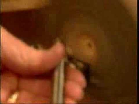 JET Tools - Lathe Projects - Turn A Bowl - Part 2 of 3