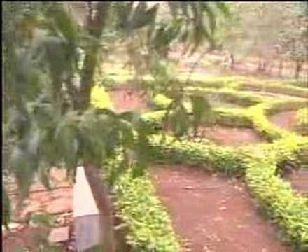 Bidar video