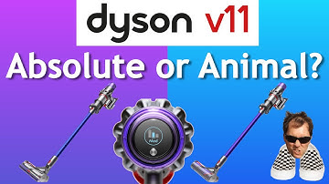 Dyson V11 Absolute или Animal?