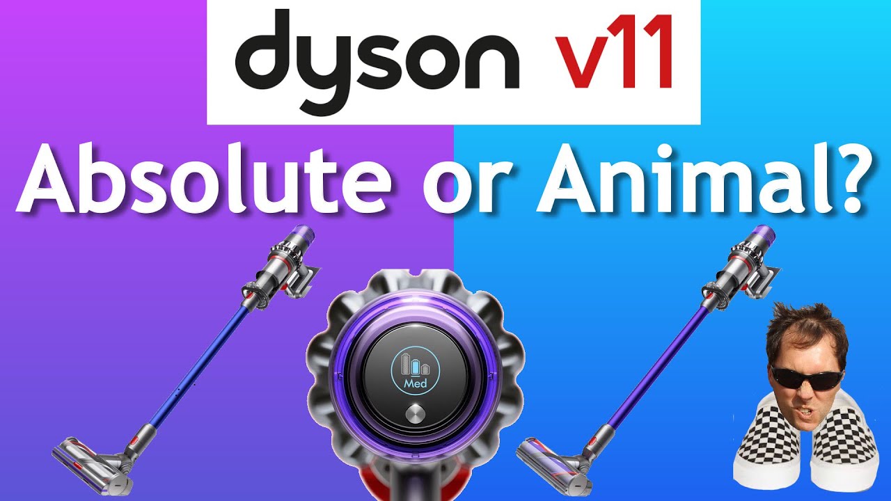 Øl Mængde penge resident Dyson V11 Absolute or Animal? - YouTube