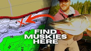 EAGLE LAKE MUSKIES Love These Spots! (2024 Eagle Lake Video 3 - Introducing Beyond The Catch)