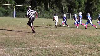 8u Forestview Cobras QB Tyler Touchdown Pass to Lil Muff by Elite Athletes 499 views 1 year ago 20 seconds