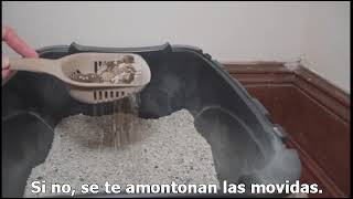 How to with John Wilson. Cháchara