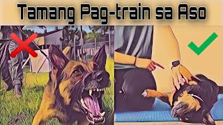 10 Mabisang Paraan ng Pag-train sa Aso | (Effective) by Doggyloverph 34,635 views 3 years ago 5 minutes, 25 seconds