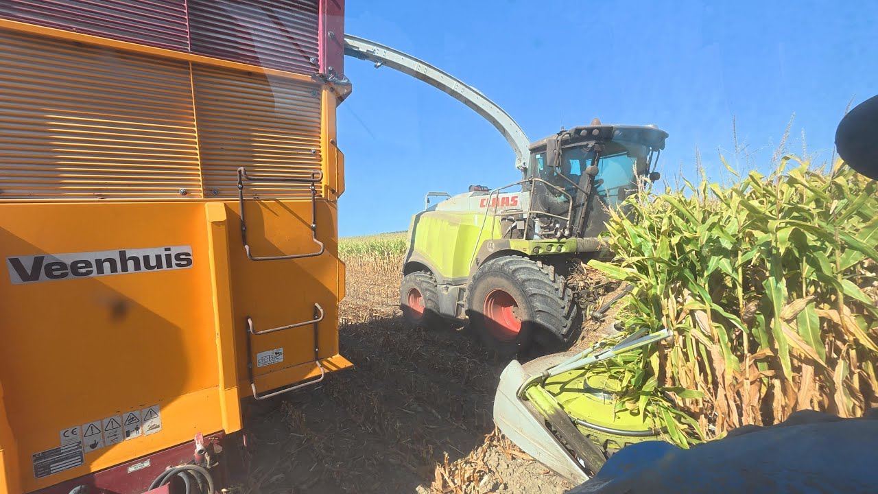 CANADIAN FARMER - CORN ANNIHILATION - CLAAS 940 TEARS IT UP!