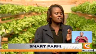 SMART FARM | Hydroponics Farming