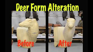 Deer Taxidermy alteration. HOW TO change a Hard turn into a Slight turn.