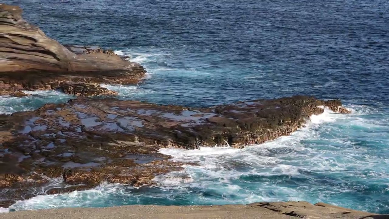 [SLRCLUB BRAND Review] SONY a1M2 4K 60p