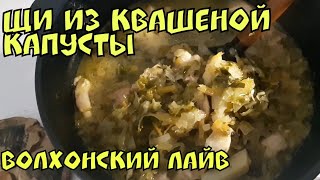 ЩИ из квашеной капусты со свининкой. Рецепт от Волхонского. ЩИ из квашеной капусты со свининкой. Рецепт от Волхонского.