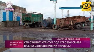 Сев озимых культур под угрозой срыва в сельхозпредприятии «Кривск»