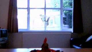 Randomater Claymation