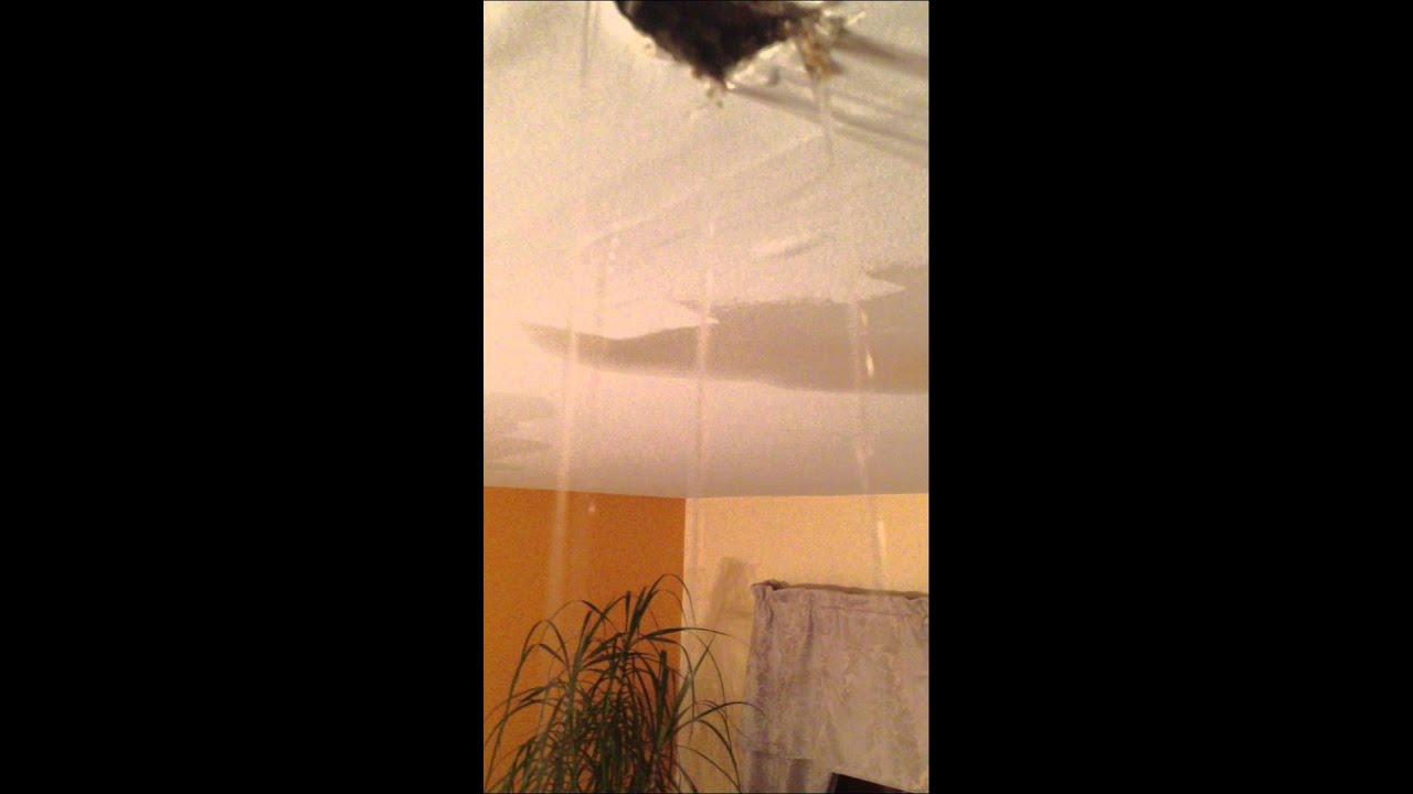 Water Coming Out Of My Ceiling Youtube