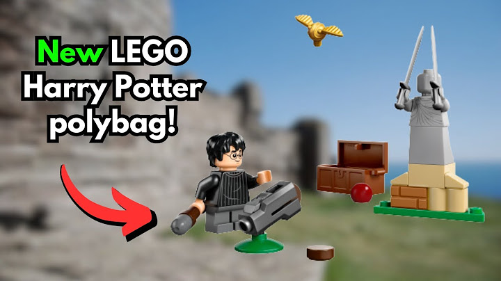 NEW 2025 LEGO Harry Potter Quidditch Lesson Polybag | Review