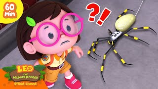 ITSY BITSY SPIDER ON THE WALL?! 🕷️🕸️ | 60 MIN | Leo the Wildlife Ranger | Kids Cartoons