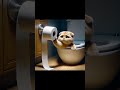 Kitten fell into the toilet #catcute #cutecat #kittens #kittycat #catlover