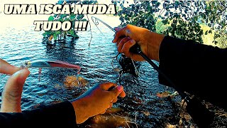 PESCARIA DE TUCUNARÉ NA ULTRA LIGHT!!! MUITA EMOÇÃO E MUITO PEIXE NA LINHA !!!.