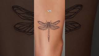 Tatuagens De Liblula O Que Significa tattoo tatuagem libelula