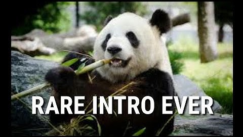 MY NEW INTRO | PANDA SONG | MOIN GAMER