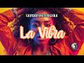 La Vibra 💥 | No Pueden Apagar Tu Brillo (Canción Motivacional)