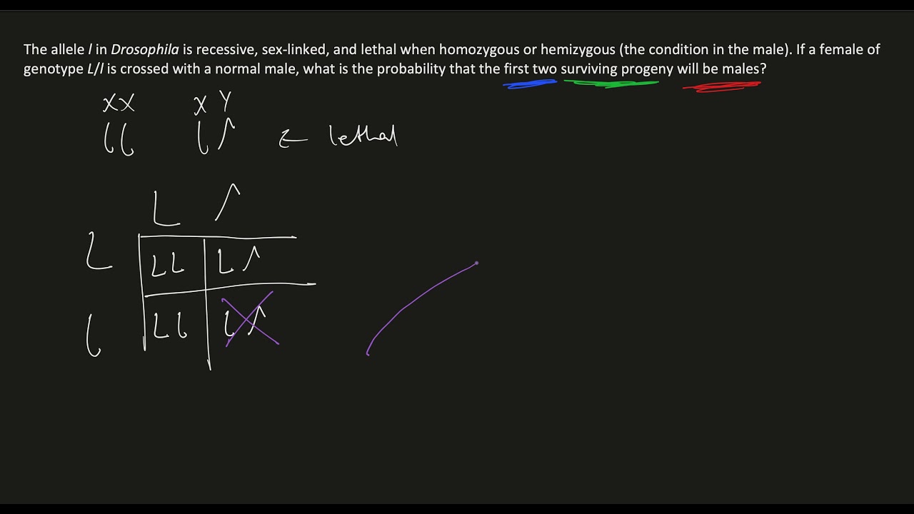Mendelian Genetics - How to answer probability based questions
