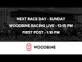 Woodbine Racetrack Sunday June  2, 2024