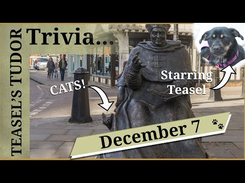 Teasel's Tudor Trivia - 7 December - Cats