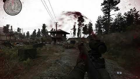 S.T.A.L.K.E.R. Anomaly 1.5 - Madness Raid in Red Forest