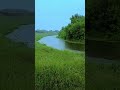 Звуки дождя и реки медитация на фоне природы