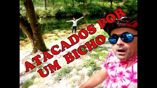 ATACADOS POR UM BICHO no Gerês - T1 | Epi. 26