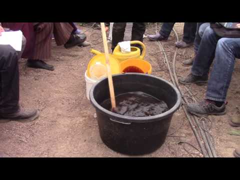 Video: Informācija par komposta tējas gatavošanu