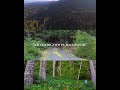 Lot 13 Longview Pl | 5 Private Acres 🌿