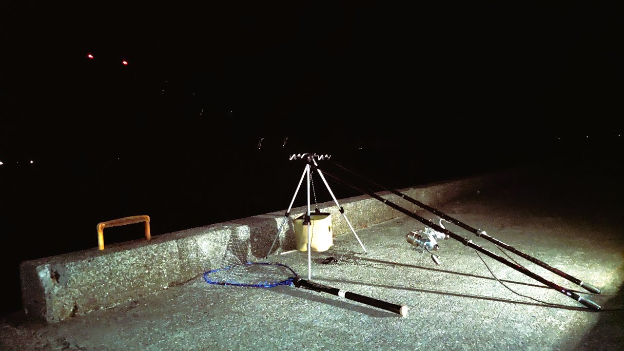 Ночью рыбалка была отличной, когда удочка была закинута.