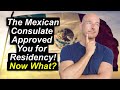 How to complete your mexican residency canje2023