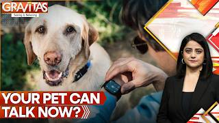 China’s AI Pet Collar Claims to Translate Barks and Meows Into Human Language | GRAVITAS