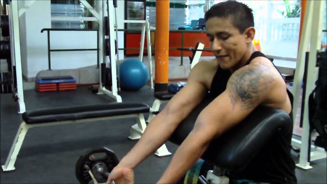 Gimnasio en casa de gama alta de bíceps Banco predicador ejercicio peso  libre brazo pesa la formación de la máquina Curl sentado Rack Banco Scott -  China Gimnasio gimnasio en casa y