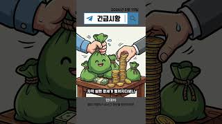 현대차 -4.30% 하락 충격! 시총 상위주의 동반 조정, 대피해야 할까?