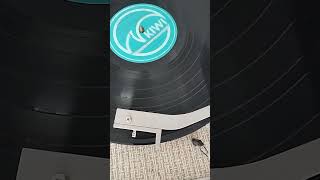 Canterbury bush orchestra - she'll be right