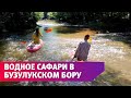 Водное сафари в Бузулукском бору по реке Боровка