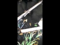 Mancing sidat di air jernih yang deras