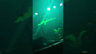 absinthe - idkhow 1/22/22 @ uc theatre berkeley california