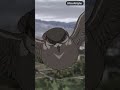 Another = [ALI PROJECT - Kyoumu Densen] - OP/AMV TVSize Short #anime #openings #another #amvanime