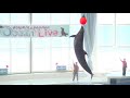 『大洗水族館』 イルカ・アシカ オーシャンライブ♪（2020/03/15) 12：00～
