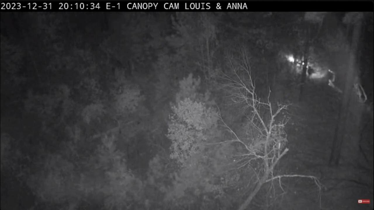 INCREDIBLE CONFIRMED Anna Rescue On Cam Kisatchie National Forest