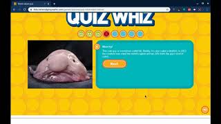 Virtual Makerspace Trivia Quiz!